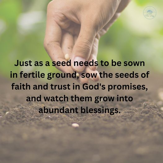 Are You a Seed Sower?